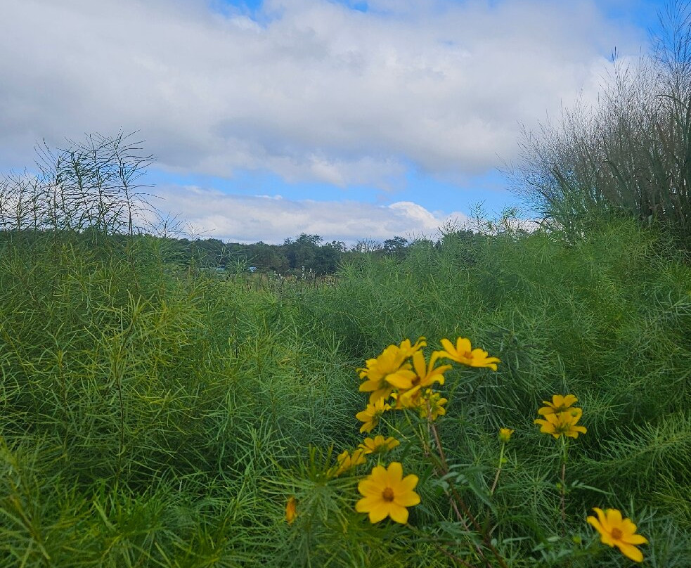 Delaware Botanic Gardens-Dagsboro必去景点