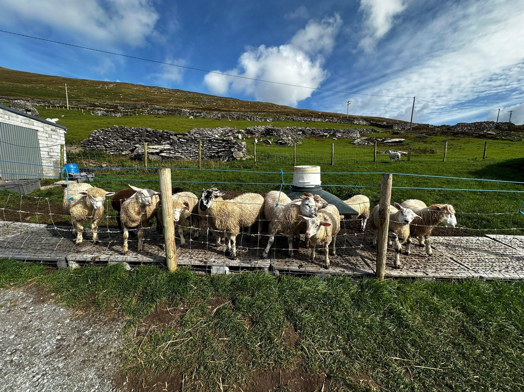 Experiencing Ireland-Mountmellick必去景点