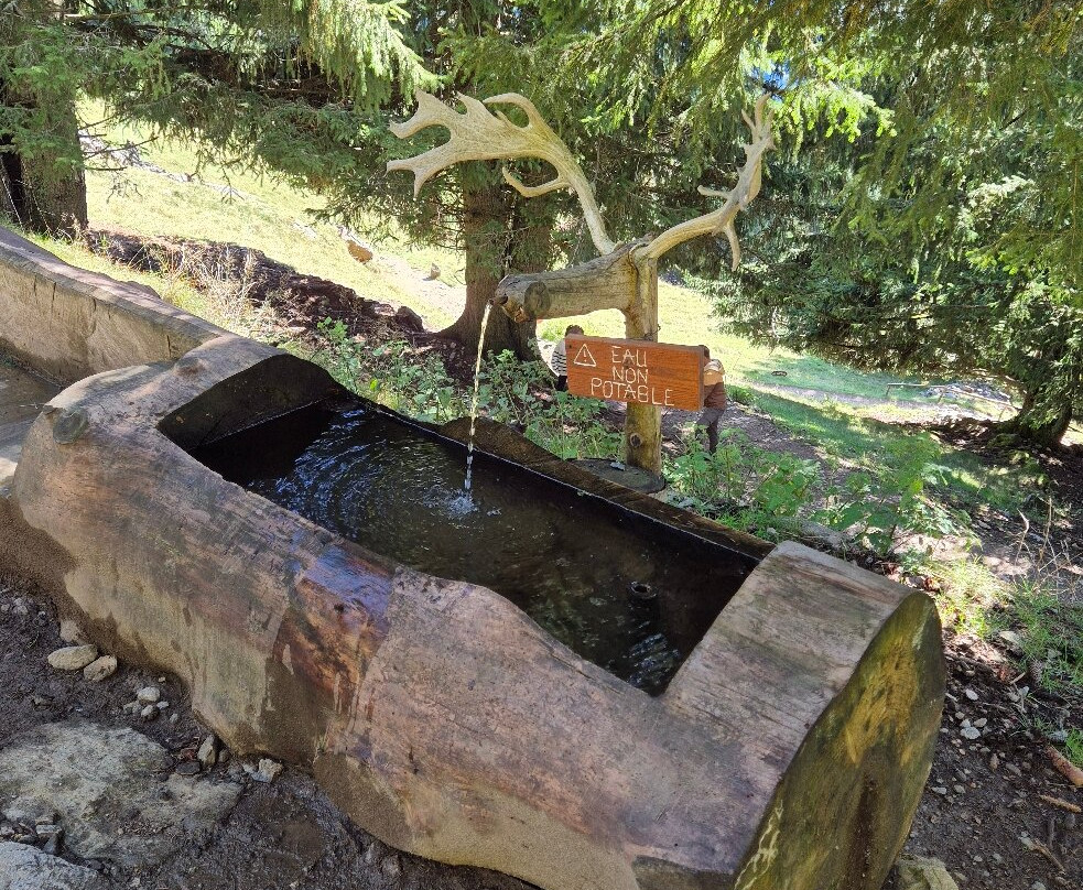 Parc De Merlet-莱苏什必去景点