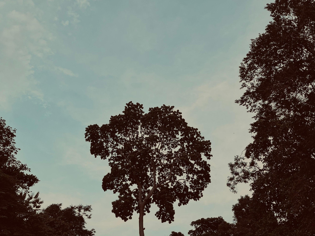 格罗拉蓬卡诺体育场-雅加达必去景点