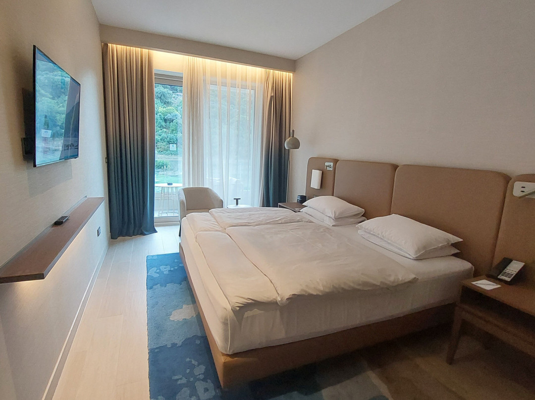 Hyatt Regency Kotor Bay Resort主图