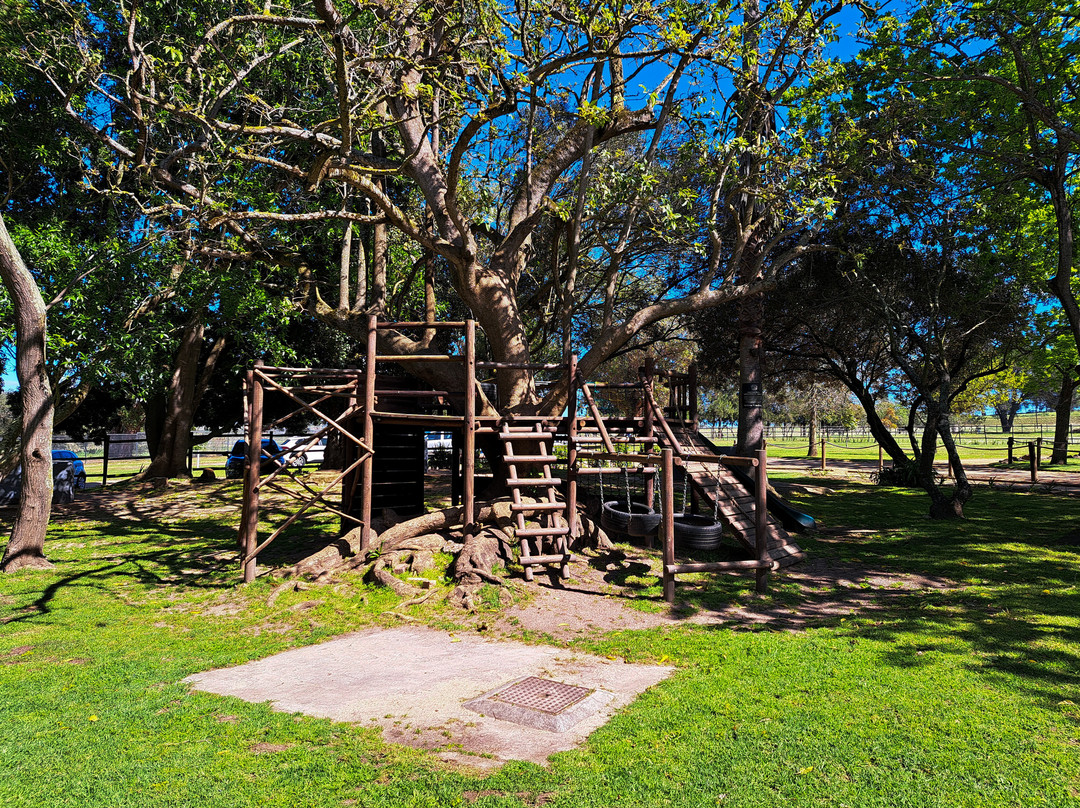 Bellevue Wine Estate-斯泰伦博斯必去景点