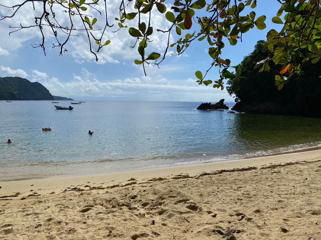 Woody Tours Tobago-Mason Hall必去景点