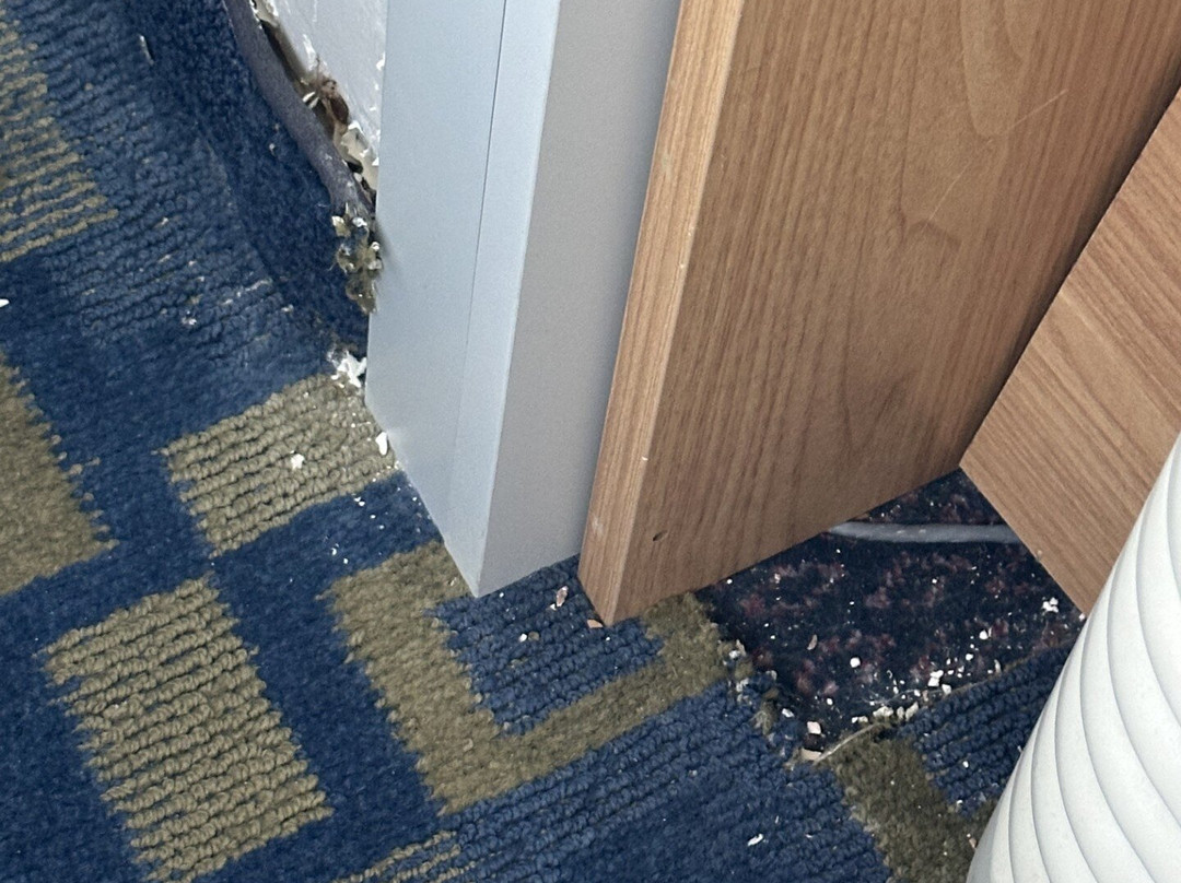 Microtel Inn & Suites by Wyndham Hagerstown主图