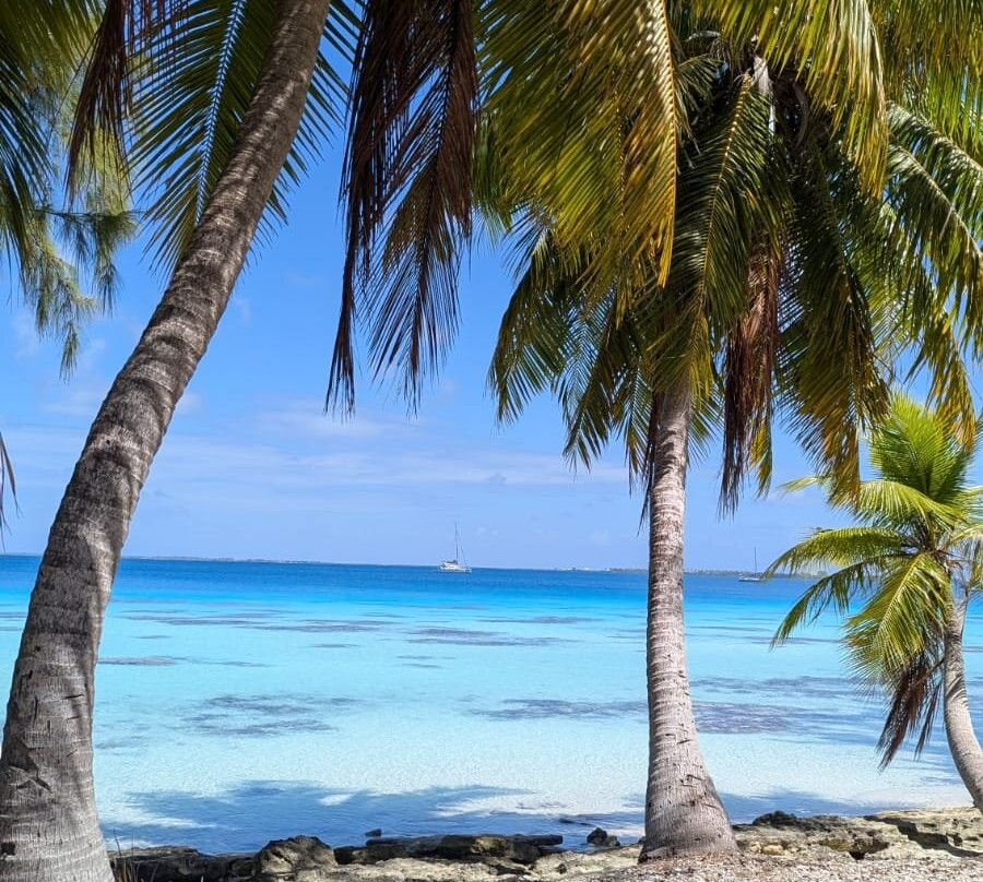 Kaipolanie Garden主图