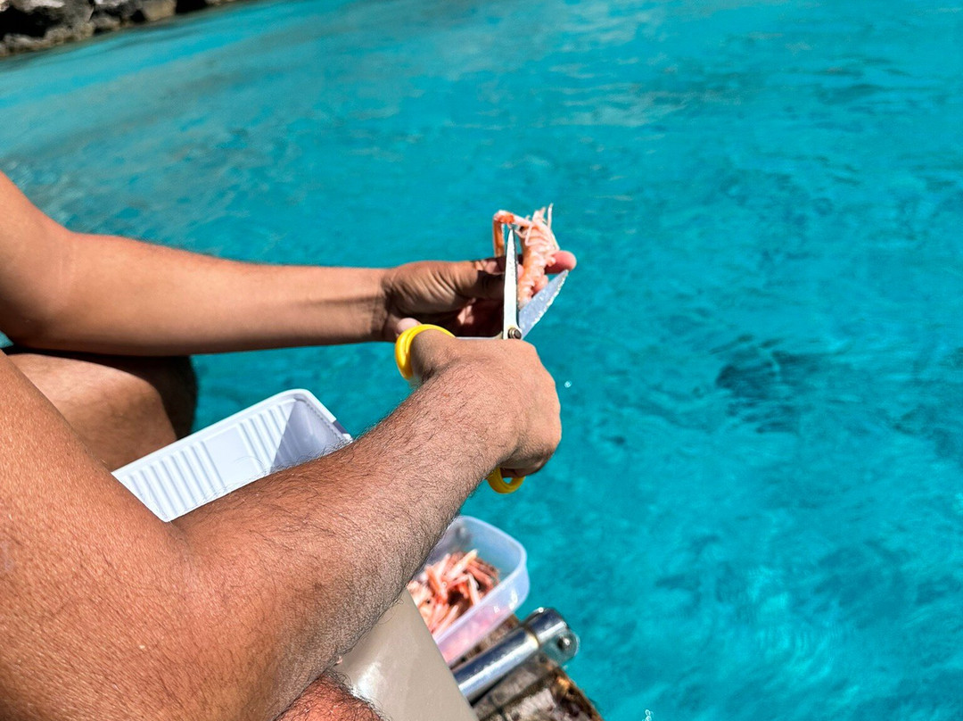 Barca Flavia-兰佩杜萨必去景点