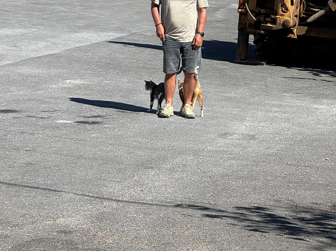 Happy Train-Elounda必去景点