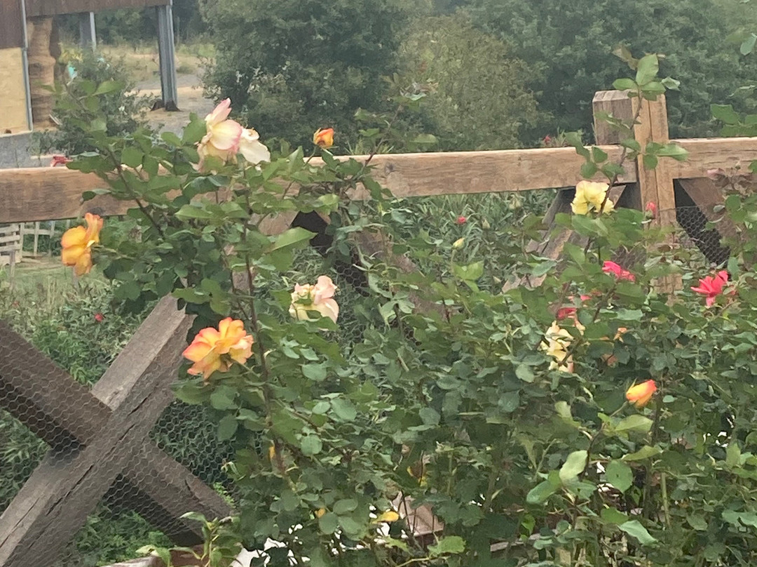 Abbaye Sainte Marie de Boulaur-Boulaur必去景点