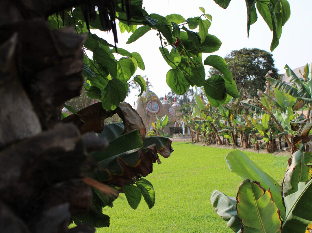 Torreon Tours-Chancay必去景点