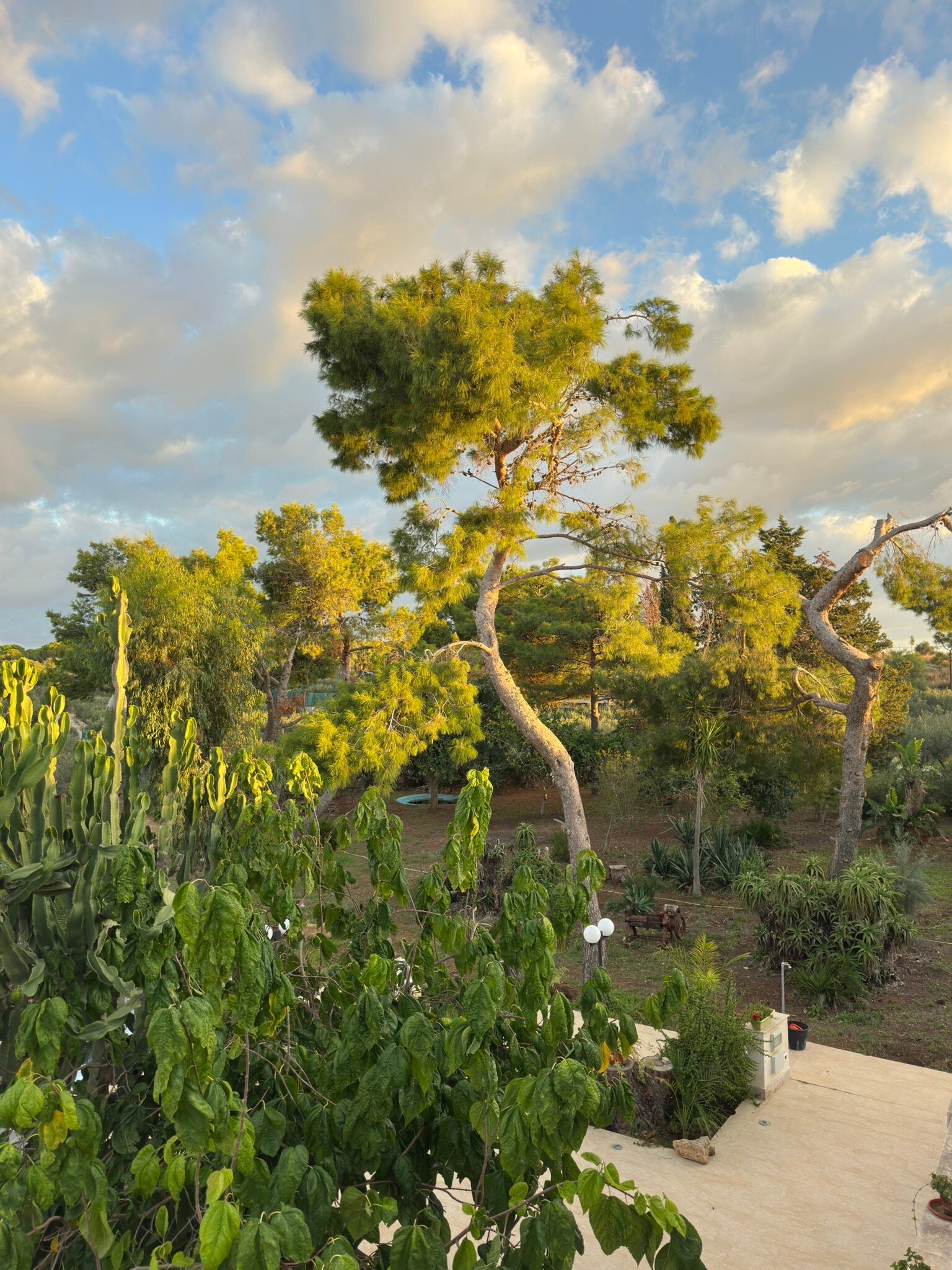 Baglio il Giovinetto B&B-官方