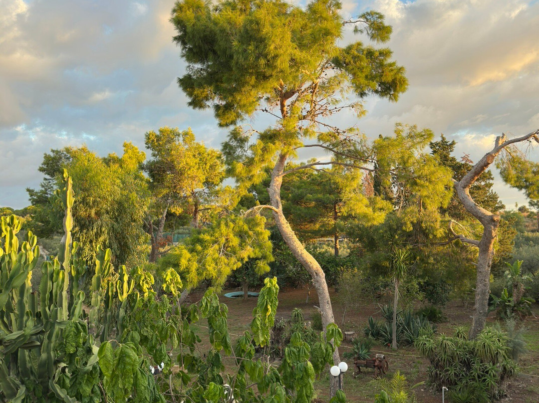 Baglio il Giovinetto B&B主图