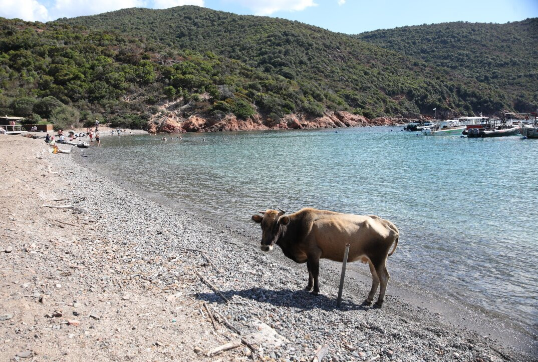 Sentier du Facteur-Girolata必去景点