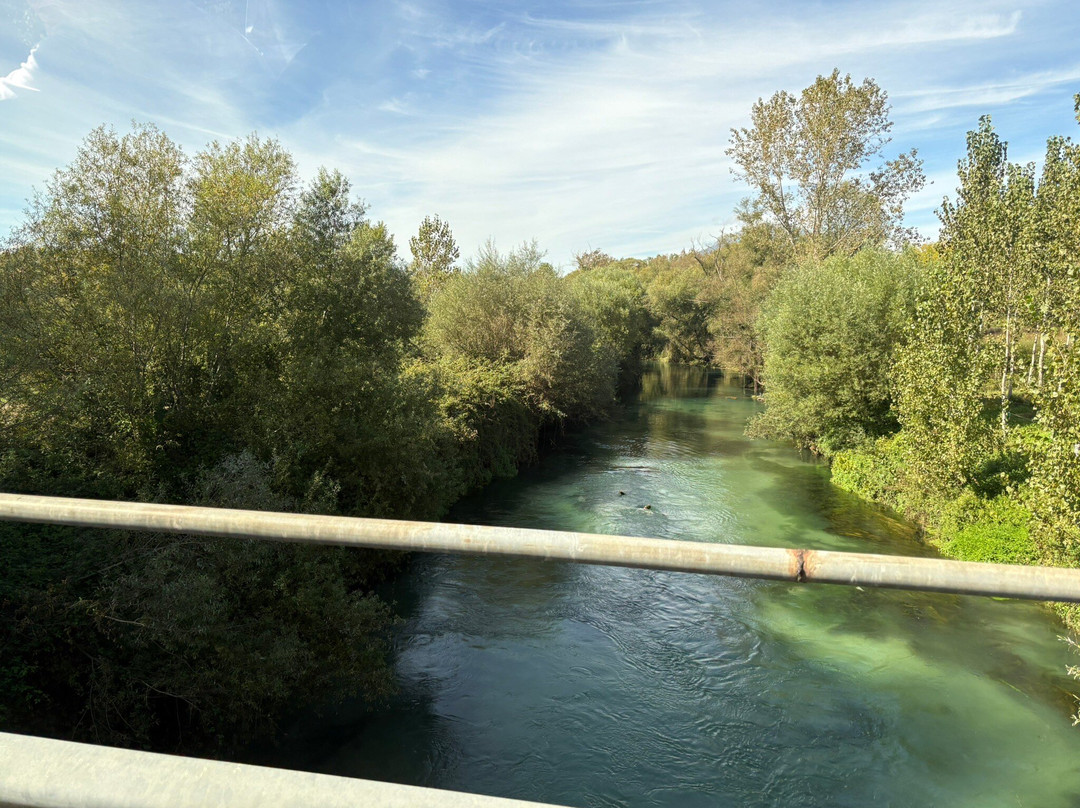 Monte Cassino Battlefield Tours By Dr. Danila Bracaglia-卡西诺必去景点
