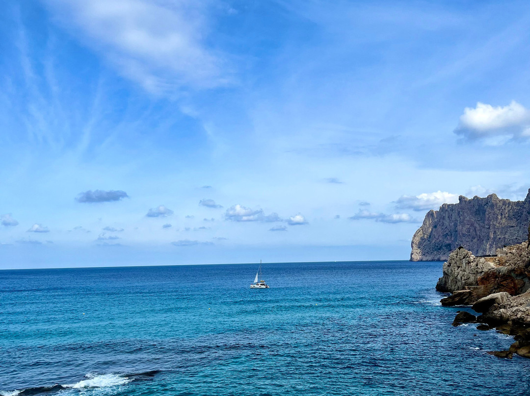 Globales Don Pedro主图