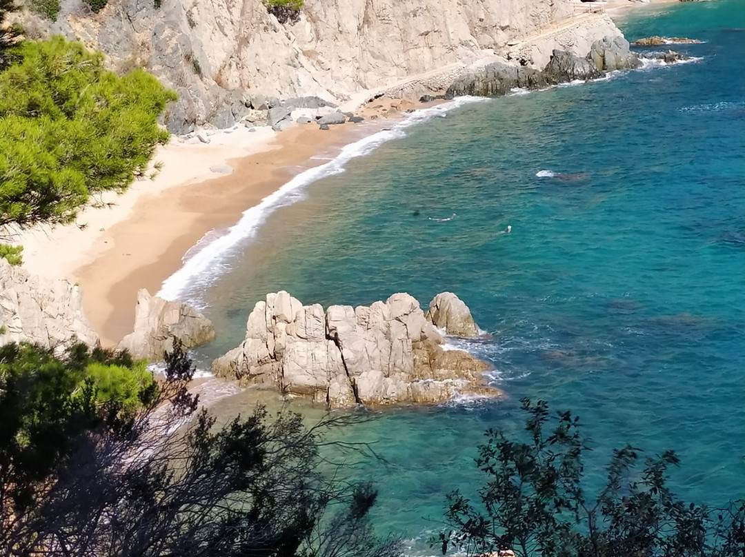 Cami de Ronda-Roda de Bara必去景点