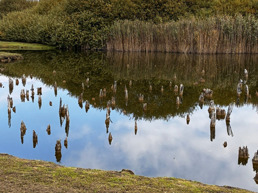 Parco Archeo Natura-Fiave必去景点
