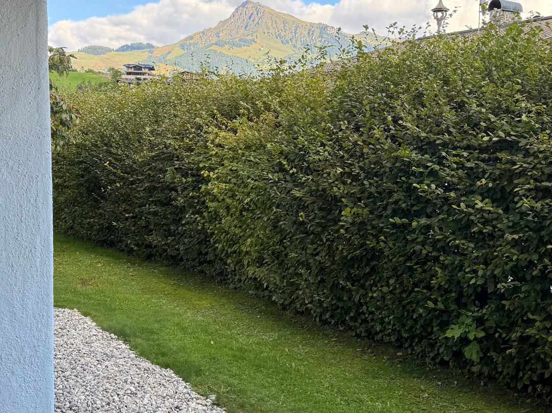 Lisi Family Hotel主图