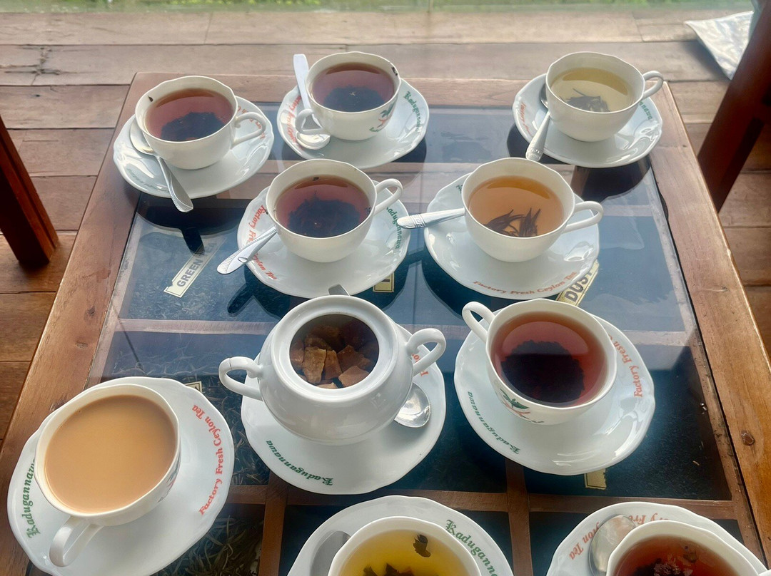 Darshana Tours - Private Driver Sri Lanka-尼甘布必去景点