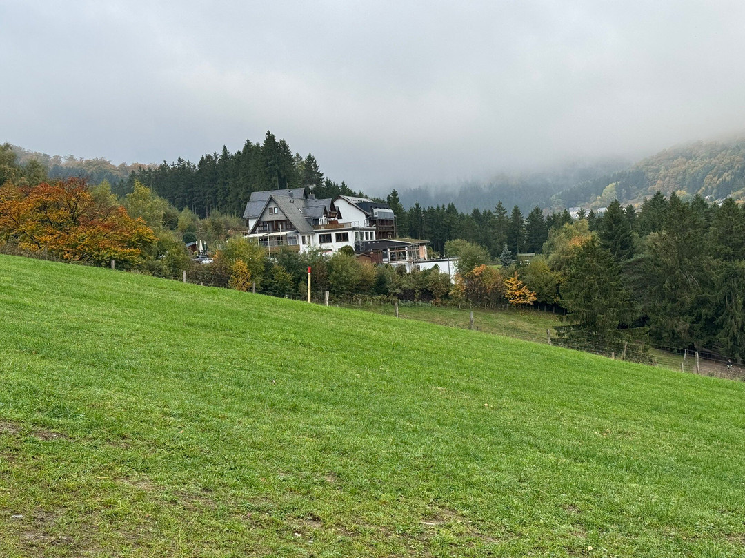 Wald Hotel Willingen主图