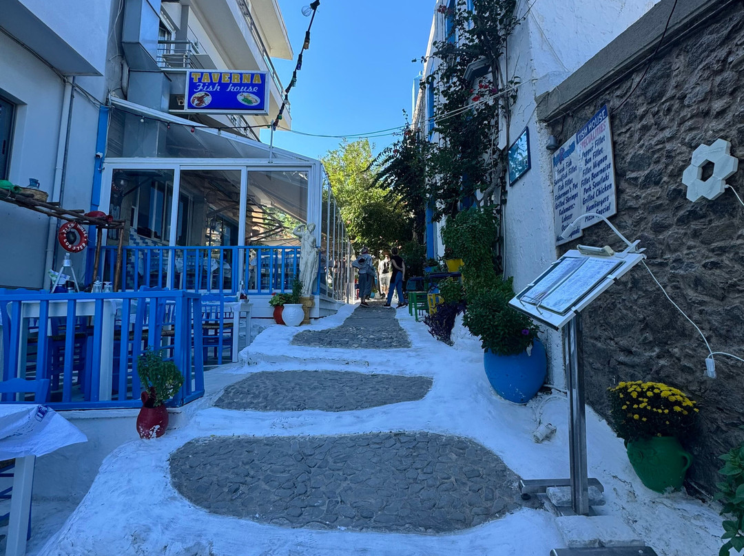 The White Steps Of Kos-Kos Town必去景点