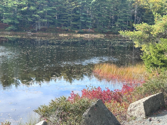 Acadia Ebike Adventure-巴港必去景点