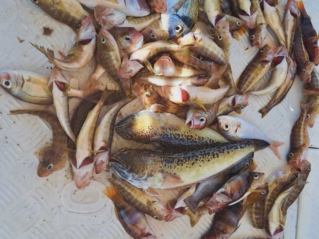 Eva Fishing-帕诺尔莫斯必去景点