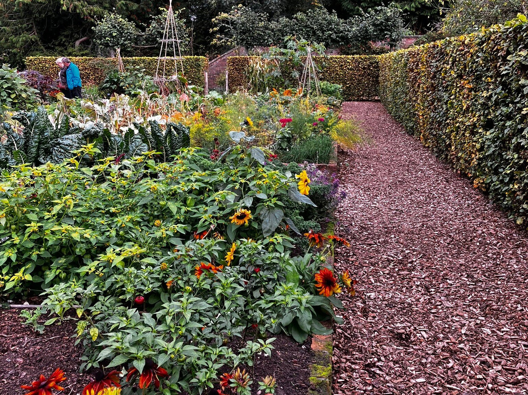 Scampston Walled Garden-马尔顿必去景点