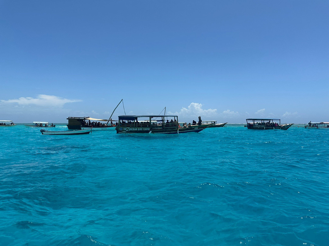 Scubafish Dive Center Ltd-Matemwe必去景点