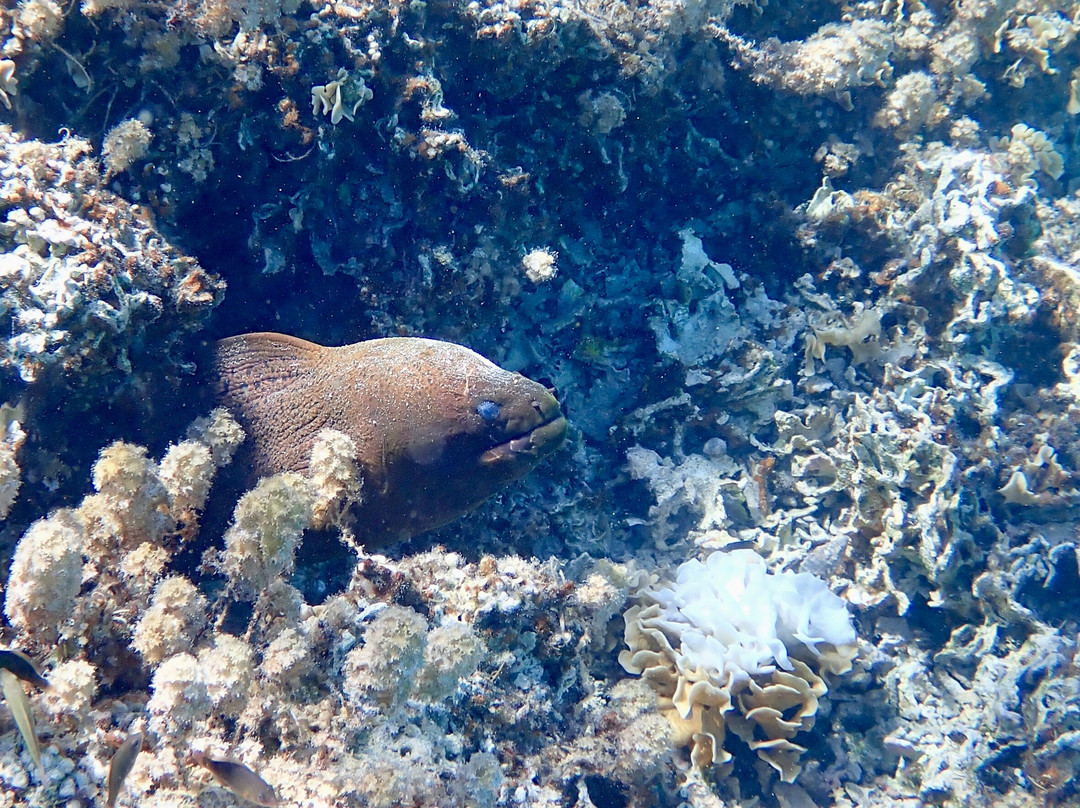 Raanui Tours-瓦伊塔佩必去景点