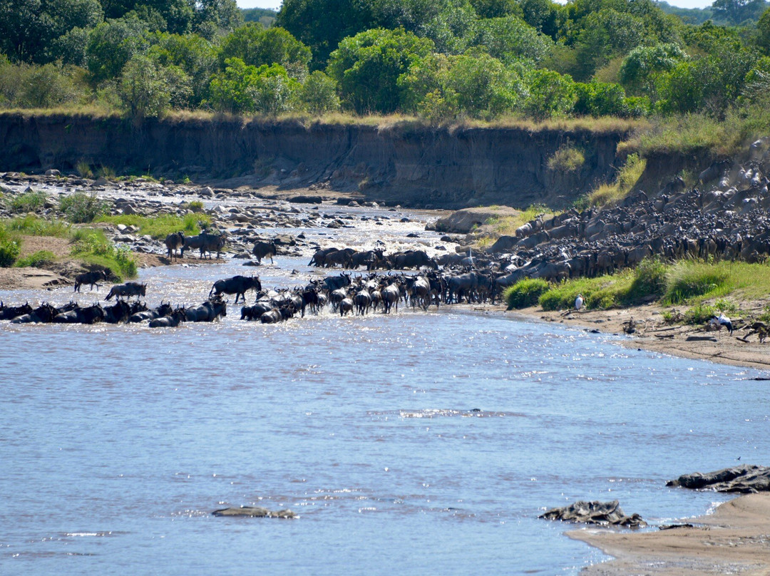 Earthlife Expeditions-阿鲁沙必去景点