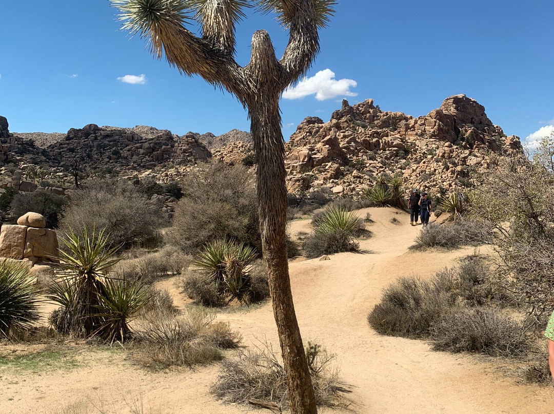 Mojave Desert-加利福尼亚必去景点