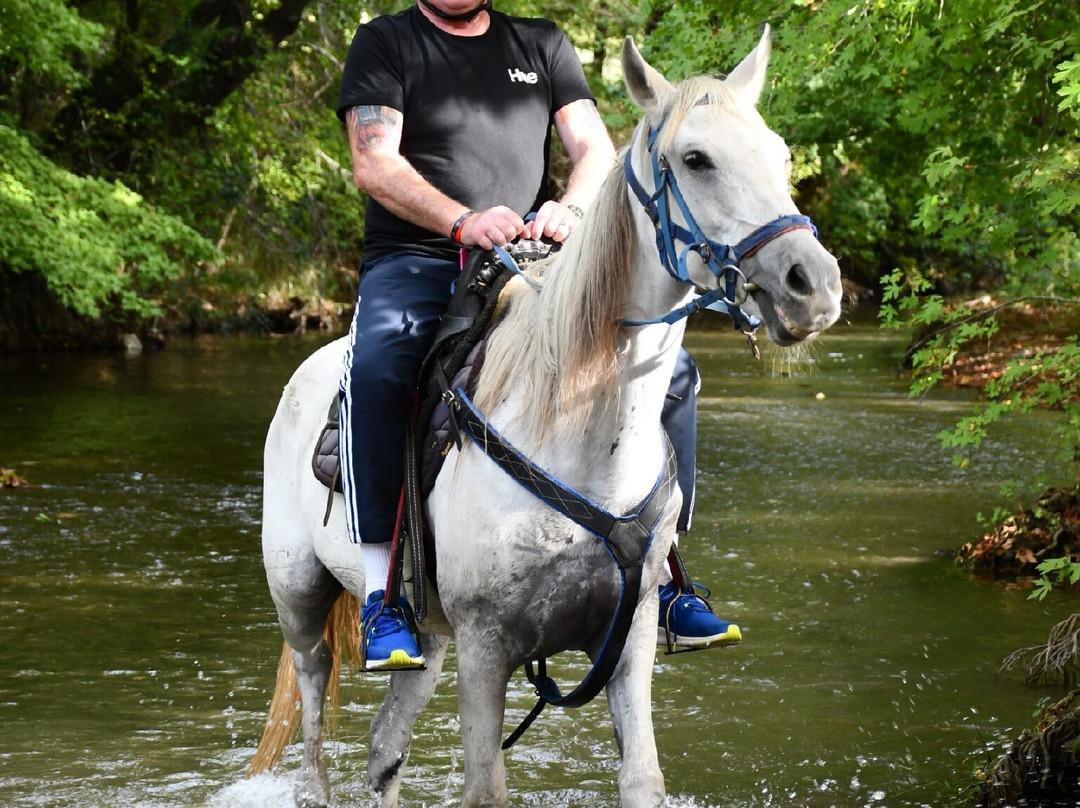 Pinar Horse Safari-马尔马里斯必去景点