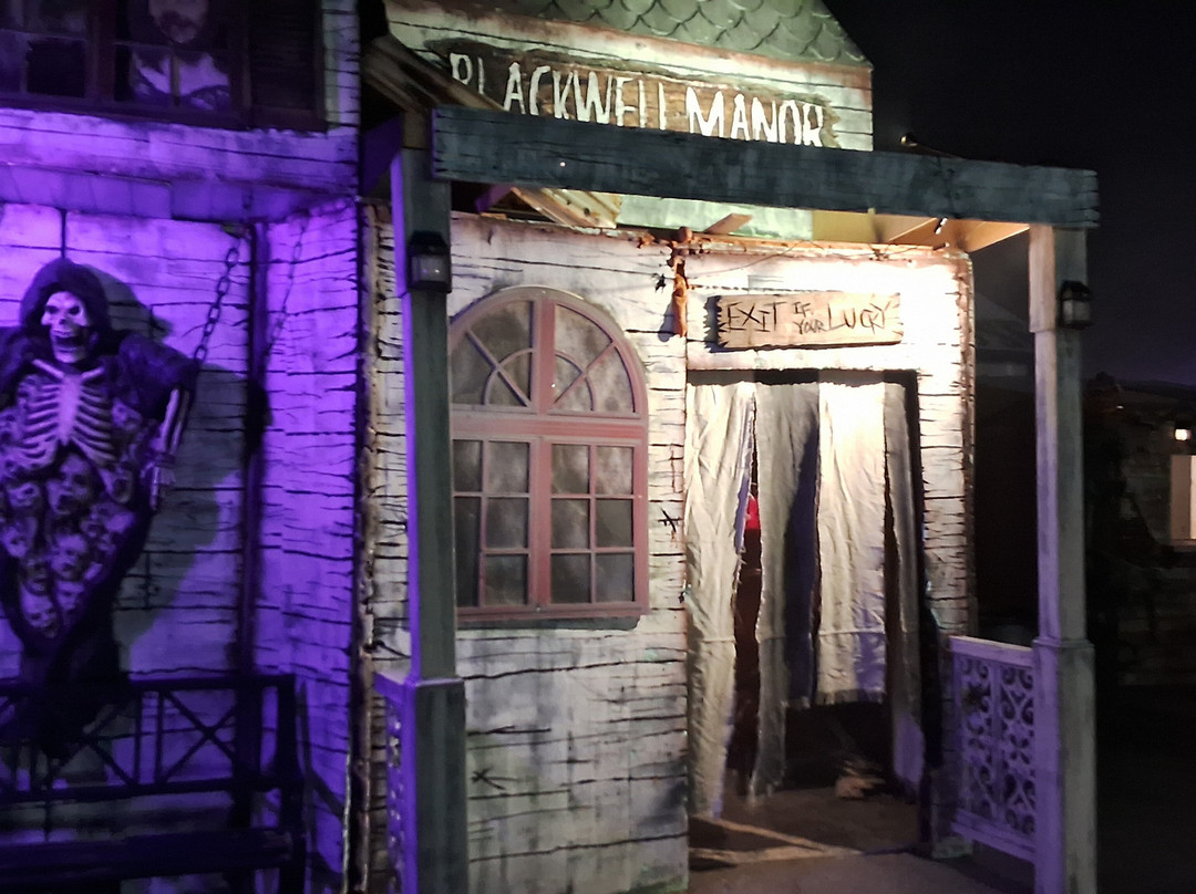 Tom Devlin's Monster Museum-博尔德城必去景点