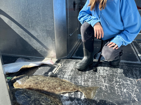 Juneau Adventures-朱诺必去景点