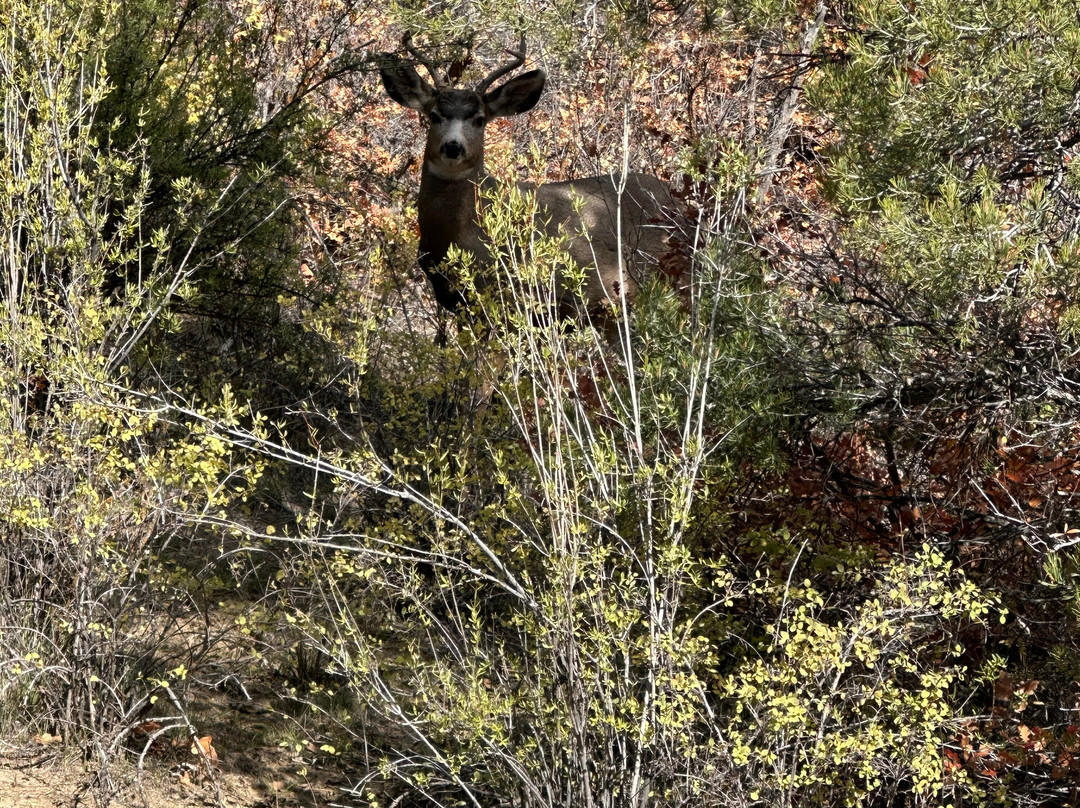 Over the Hill Outfitters-杜兰戈必去景点