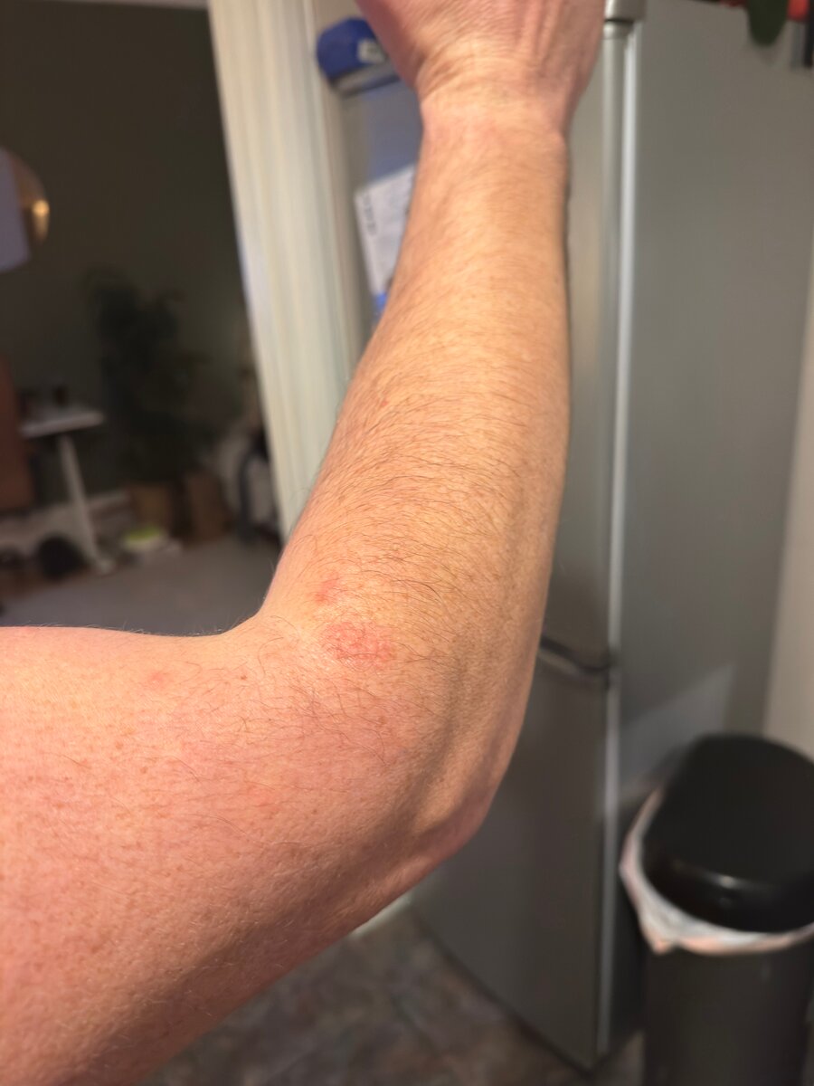 Brunnholl Country Guesthouse-官方