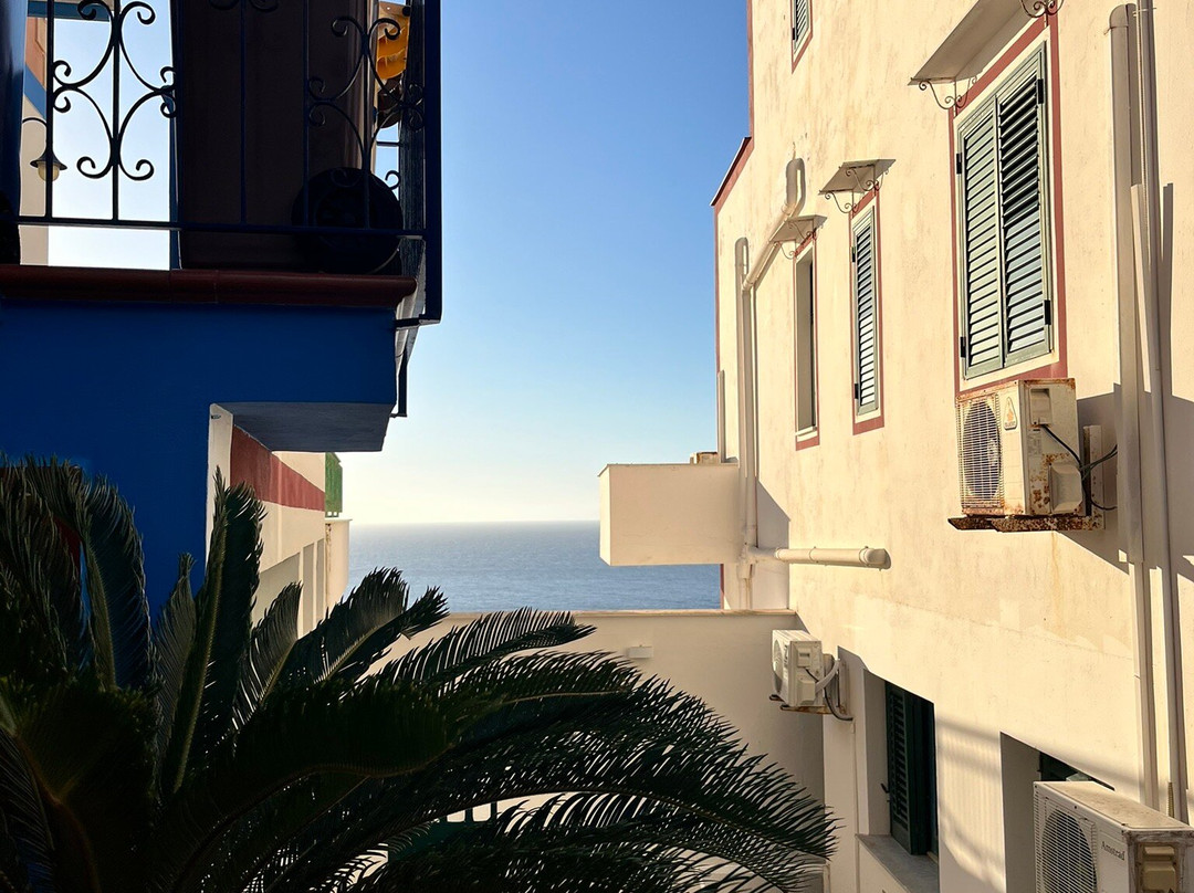 索尼内尔布鲁酒店主图