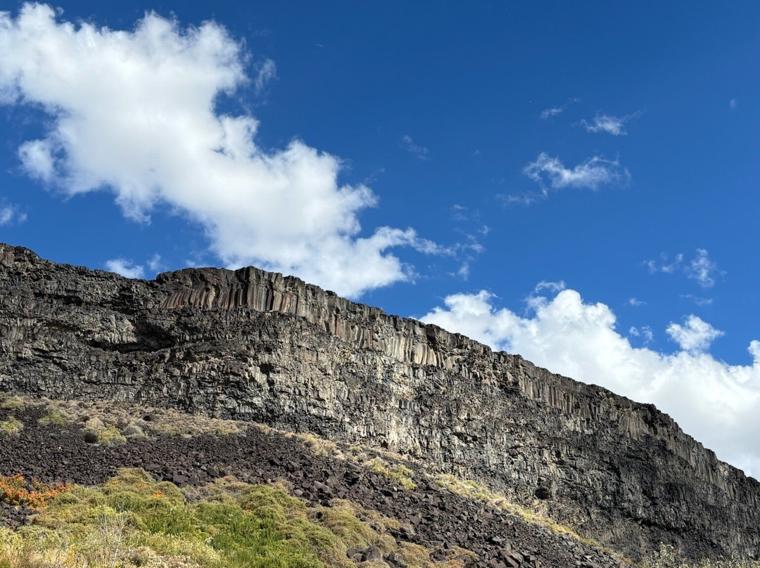 Niagara Springs Fish Hatchery-Wendell必去景点