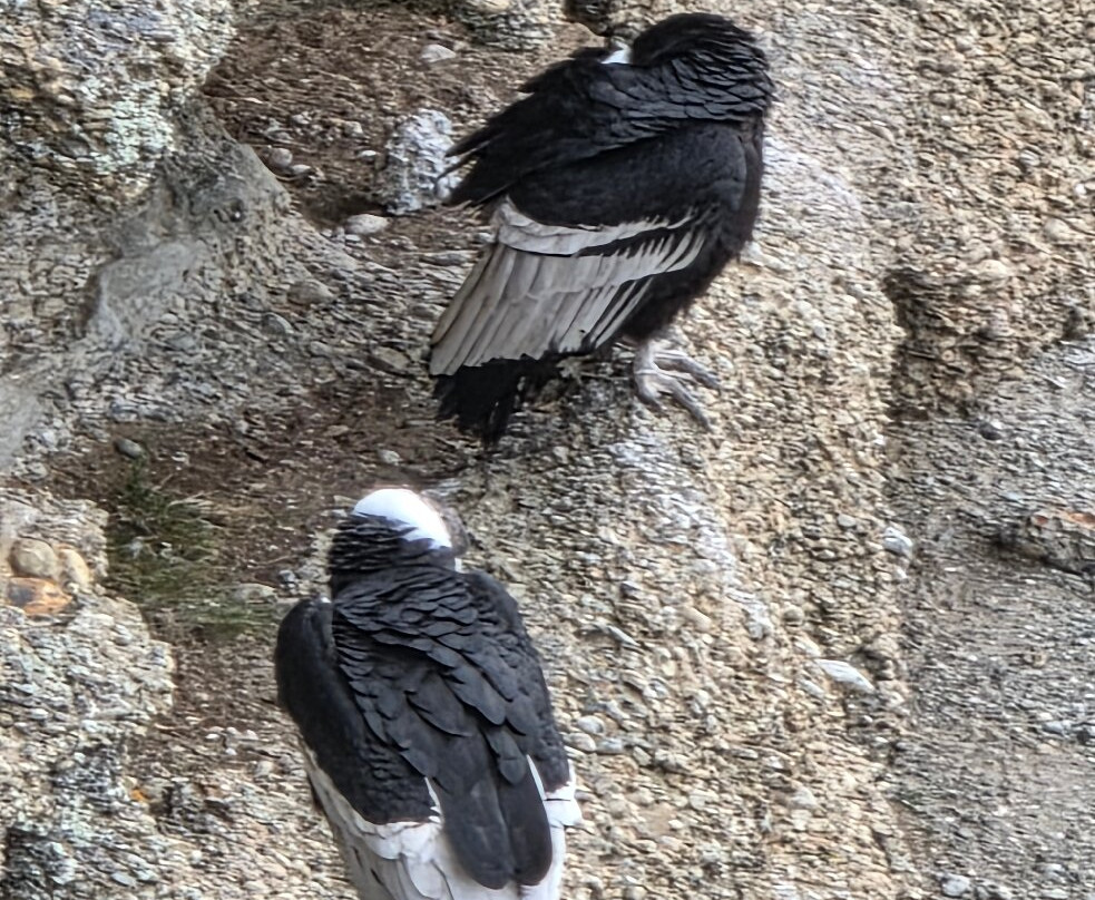 Tour Rupestre Patagonia-纳塔莱斯港必去景点