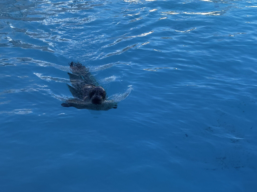 Bio-topia-敦克尔克必去景点