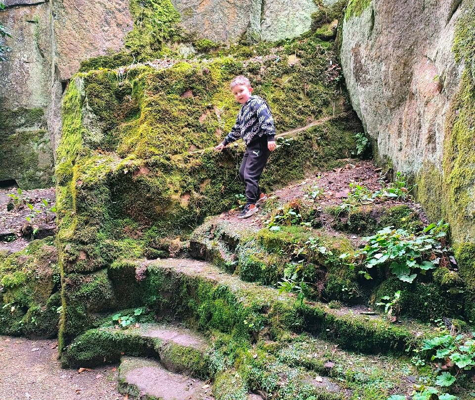 Belsay Hall Castle And Gardens-Belsay必去景点