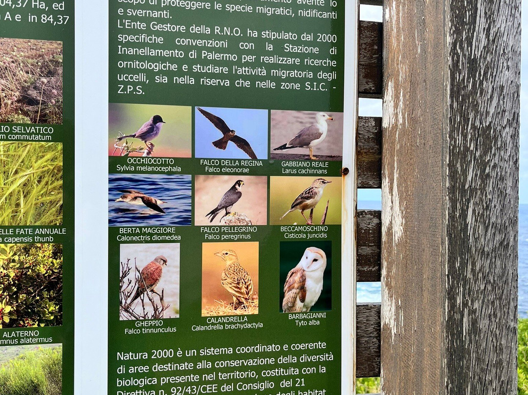 乌斯蒂卡-Ustica必去景点