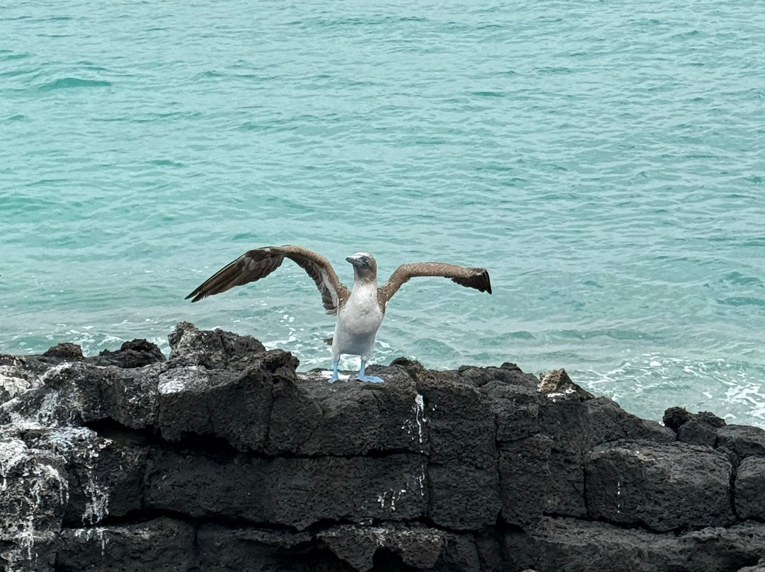 Eco-Challenger Galapagos Tour Agency-圣克里斯托瓦尔必去景点