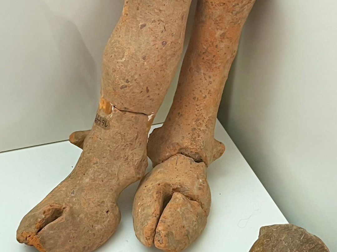 Archaeological Museum of Sitia-Sitia必去景点