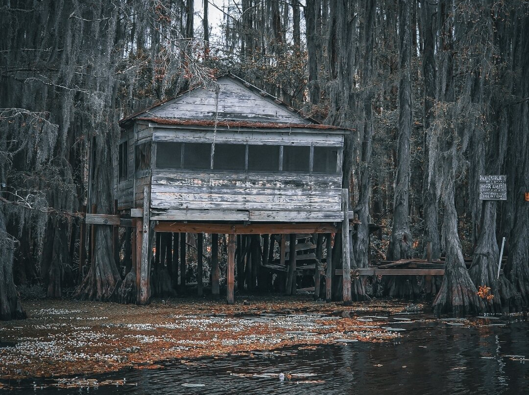 Mossy Brake Camp Swamp Tours-Karnack必去景点