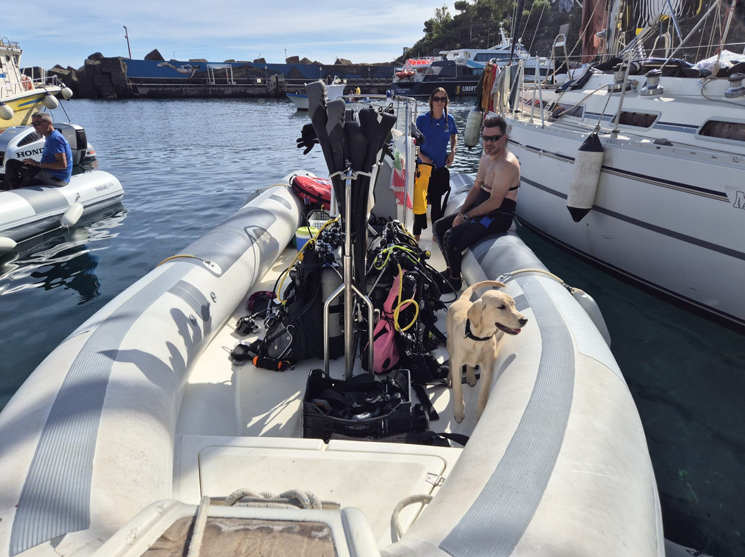 Mister Jump Diving Ustica-Ustica必去景点