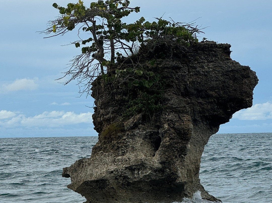Gandoca - Manzanillo Wildlife Refuge-Province of Limon必去景点