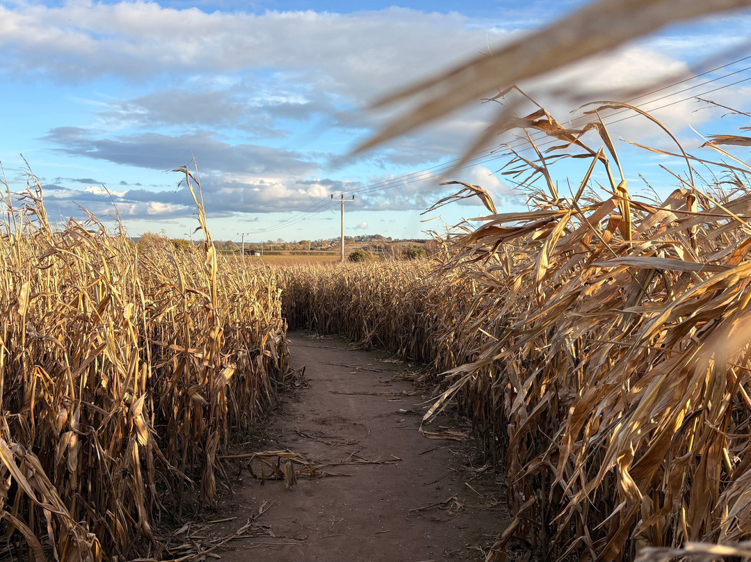 Notts Maze-诺丁汉必去景点
