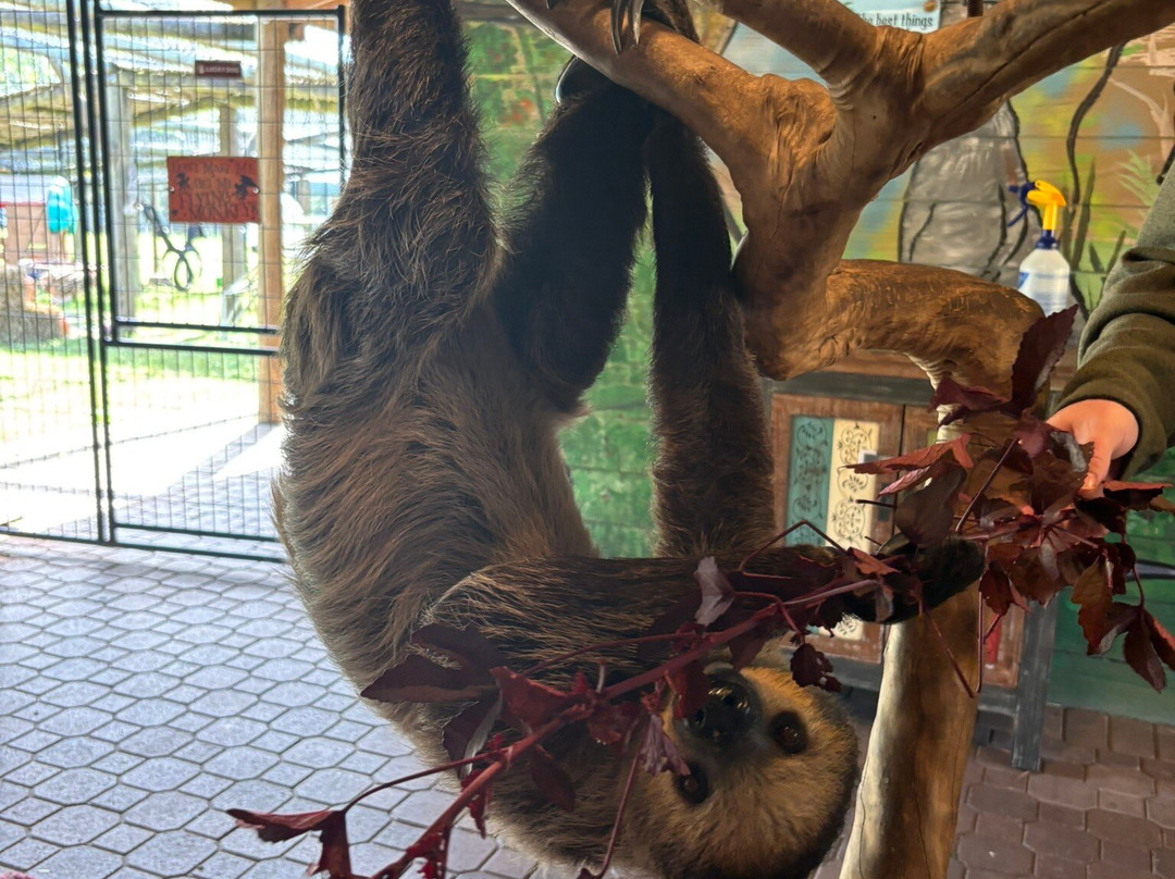 Exotic Animal Experience-奥兰多必去景点