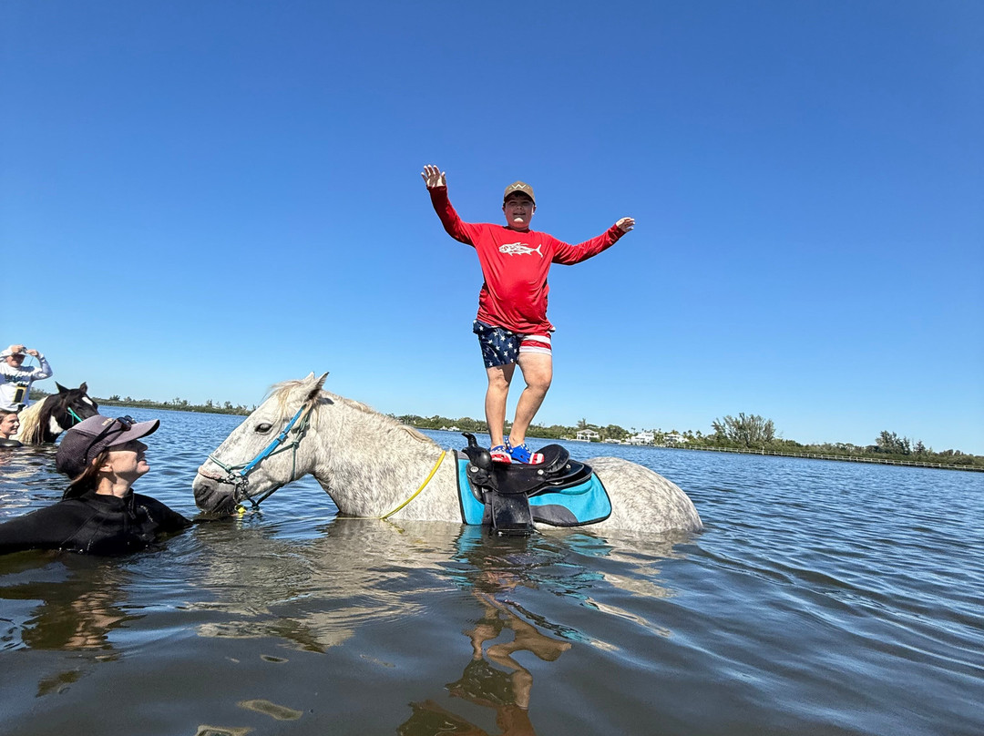 Florida Beach Horses-布雷登顿必去景点